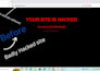 do wordpress malware removal and install premium security in 12h